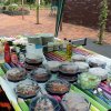 bbq2010001